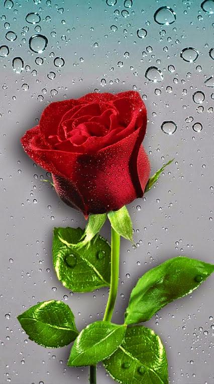  many happy returns of the day. Happy birthday. You are real pearl of art. U n Benazir Bhutto have same dob. 
