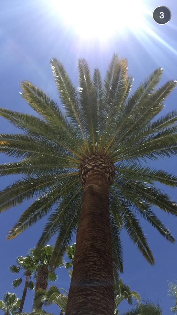 MadisonBeerCol's tweet image. Madison vía snapchat