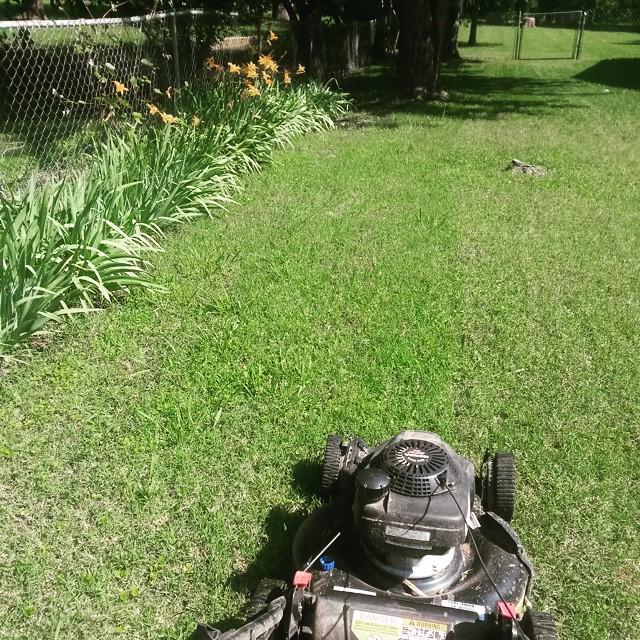 zach6781's tweet image. It's a beautiful day to be doing some yard work 😊 🌞 #pushmower #ftw ift.tt/1IVqYi9