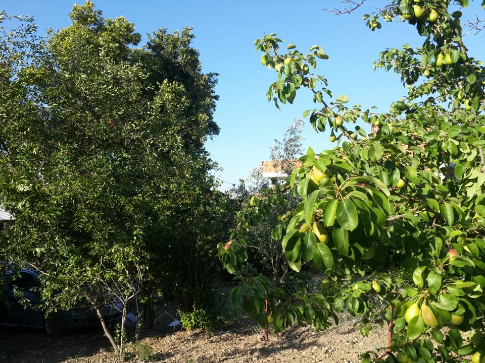 alahattin's tweet photo. I'm at Kaynarpınar in Karaburun, İzmir https://t.co/ixer42yZ9o http://t.co/ElOeforWJE
