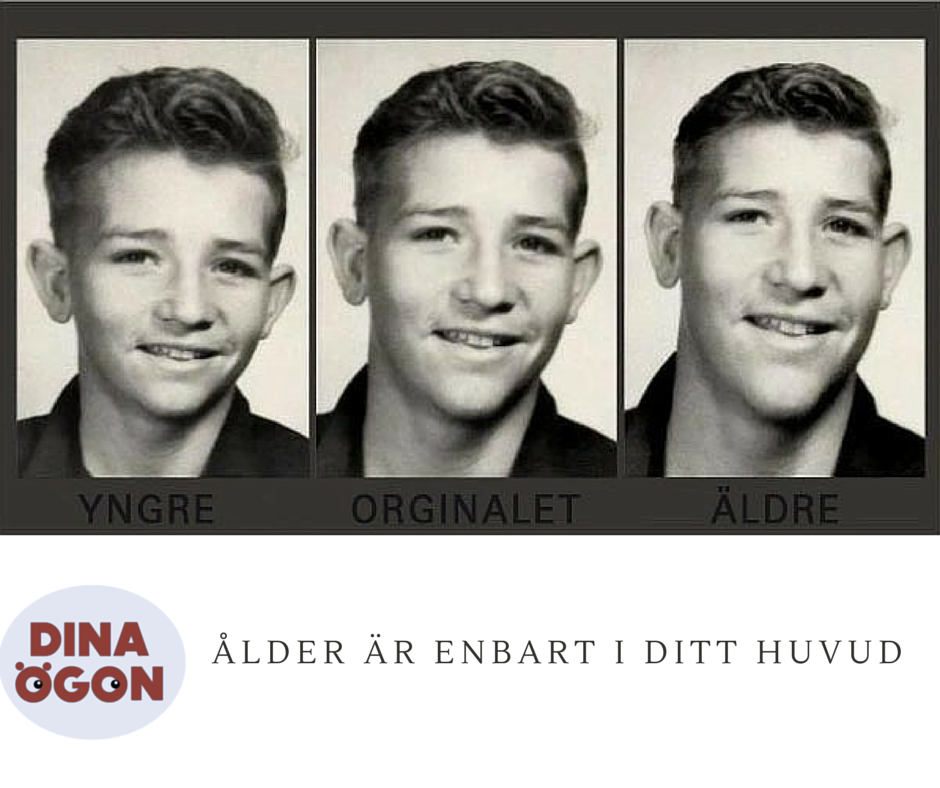 Dina Ögon (@dinaogon) on Twitter photo 