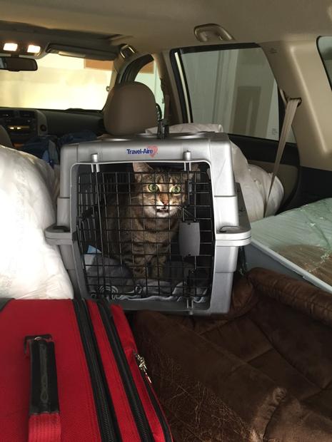 Katherine Mayer tweet media