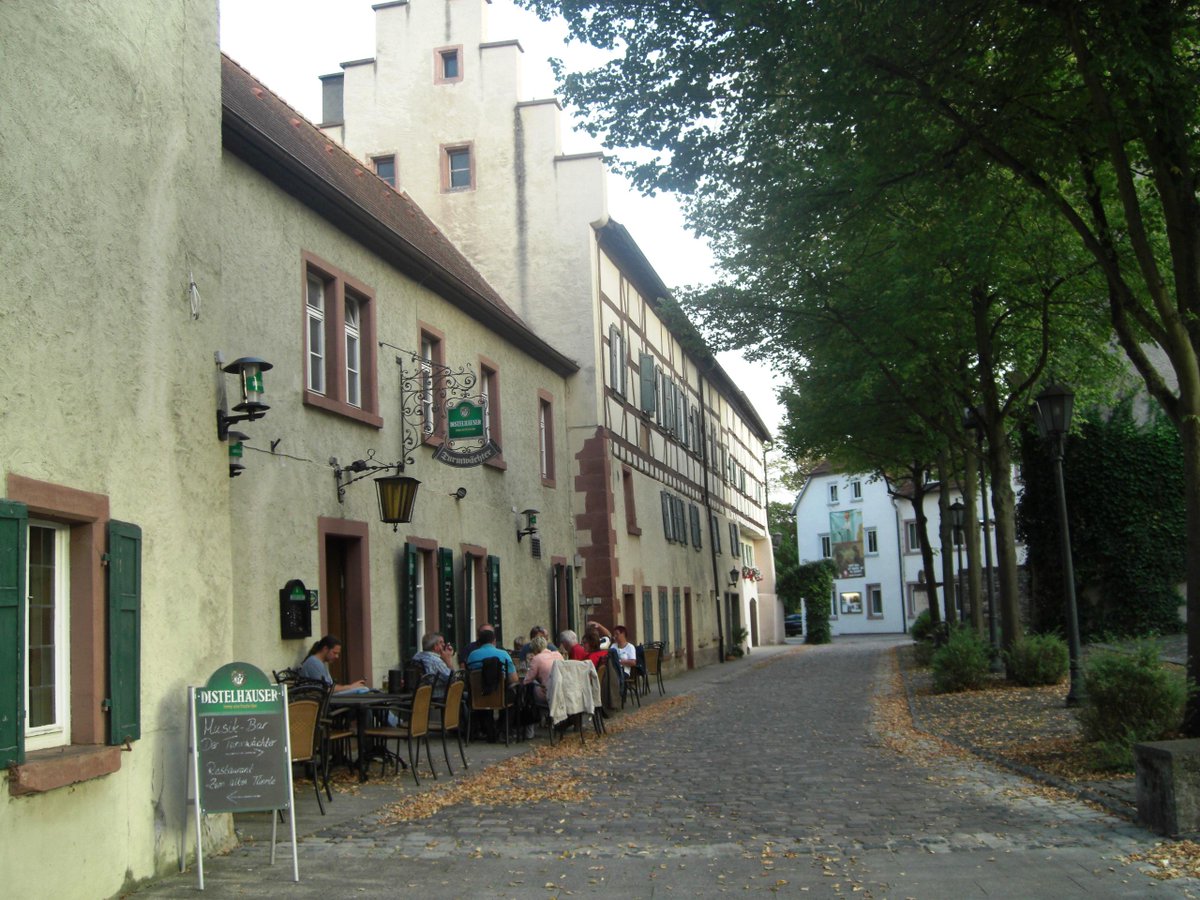 GermanCyclingTo's tweet photo. Did you ever enjoyed a wine bike tour? 
http://t.co/rrgd1fjoWP http://t.co/ZUFrSfYrlU