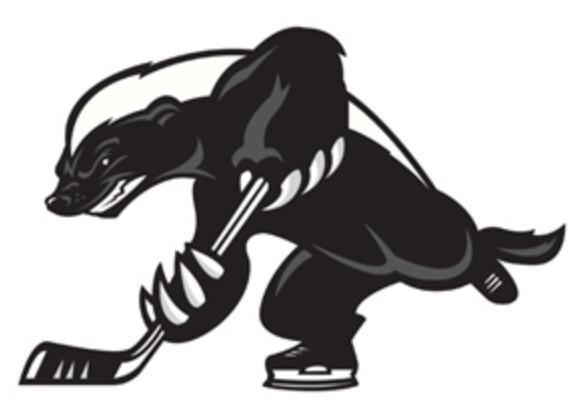 nkhl_3's tweet photo. The Southern Conference. Forest Division. The Otters, The Honey Badgers, and the Skunks. http://t.co/FEBoHoxKrP