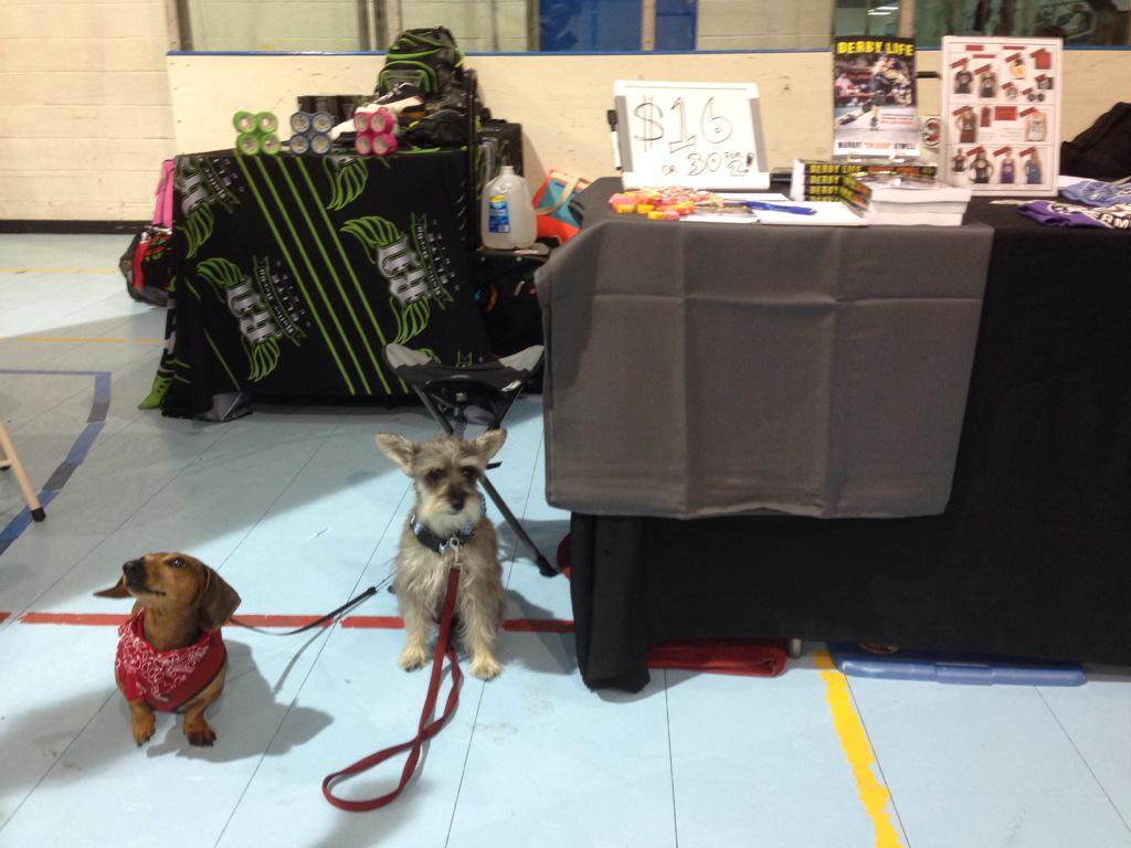 EmDash8212's tweet photo. Check out the @gothamgirls dogs at the GGRD/Derby Life booth at #ECDX! #ECDX2015 #talk2wftda http://t.co/wHanPHPakW