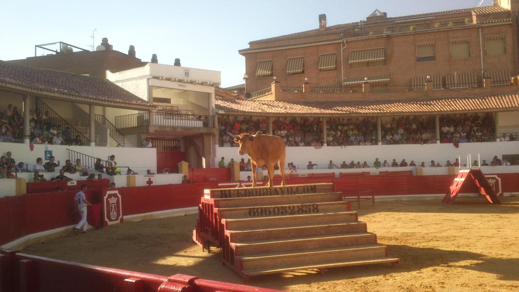 Disfrutando del #EspecialArriazu, en Peralta, con <a href="/toropasion/">Toropasión</a> , <a href="/jaumeorenga/">jaumelicquanballa</a> y lo que nos queda...