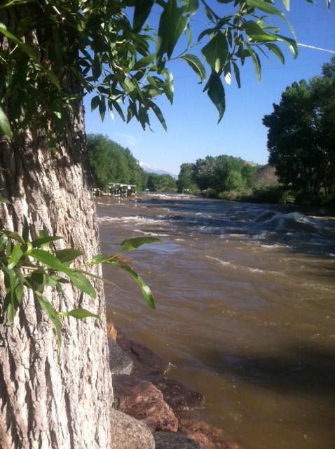 Slalom is happening folks! Come down to the river, cool of your feet and enjoy the show. #slalomrace #riverfestival