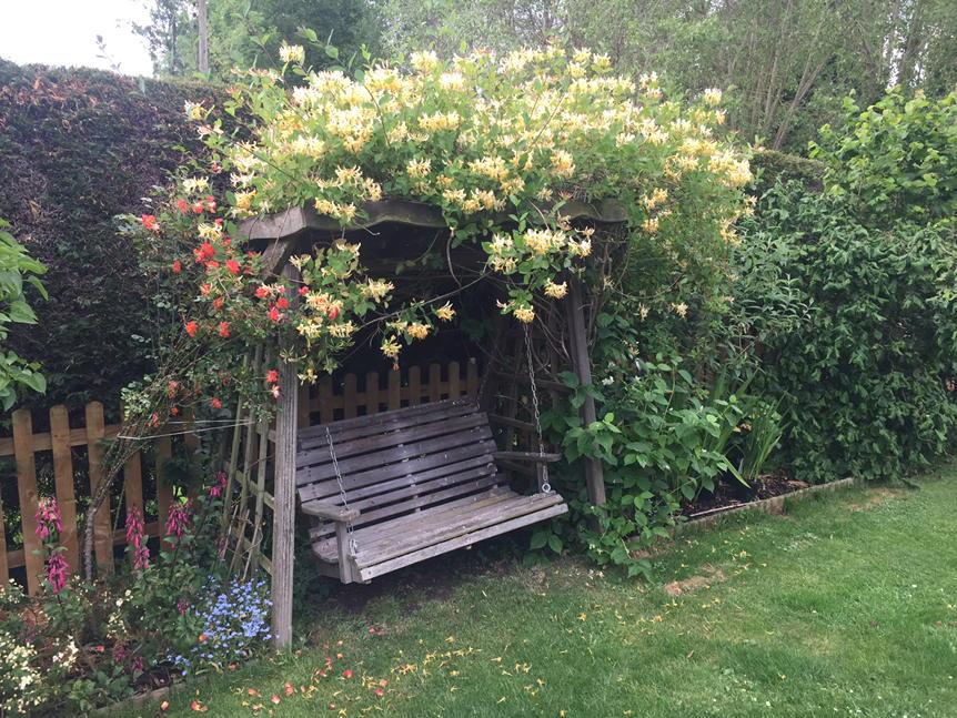 AnnoGalactic's tweet image. I'll be here if you need me, not that I'll help. #bitdrunk