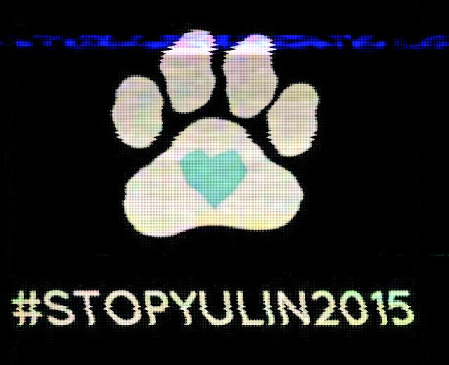 troubleandrew's tweet photo. Please #StopYulin http://t.co/eRal9z22UR