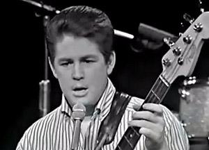   !  Happy Birthday Brian Wilson 6/20/42 