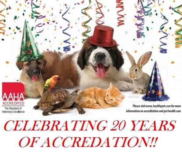 MississaugaAH's tweet photo. Proud to say that we are once again celebrating our AAHA Accreditation! We have been AAHA accredited since 1995 :-) http://t.co/B3SNqphhmj