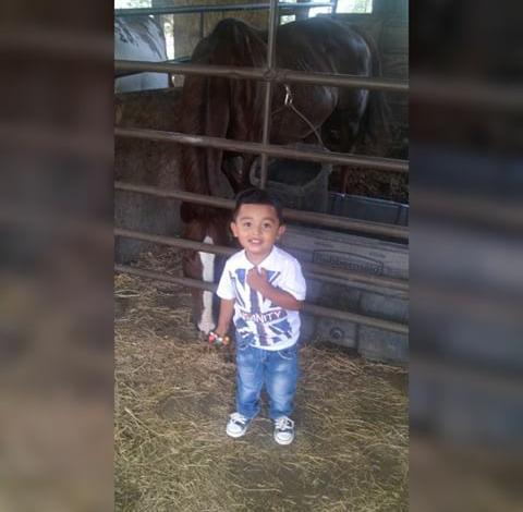 luissal658's tweet photo. #DiegoAndres😍 te amo mi OtraMitad Amor Por los caballos🐴 http://t.co/1JSmgsNaC4