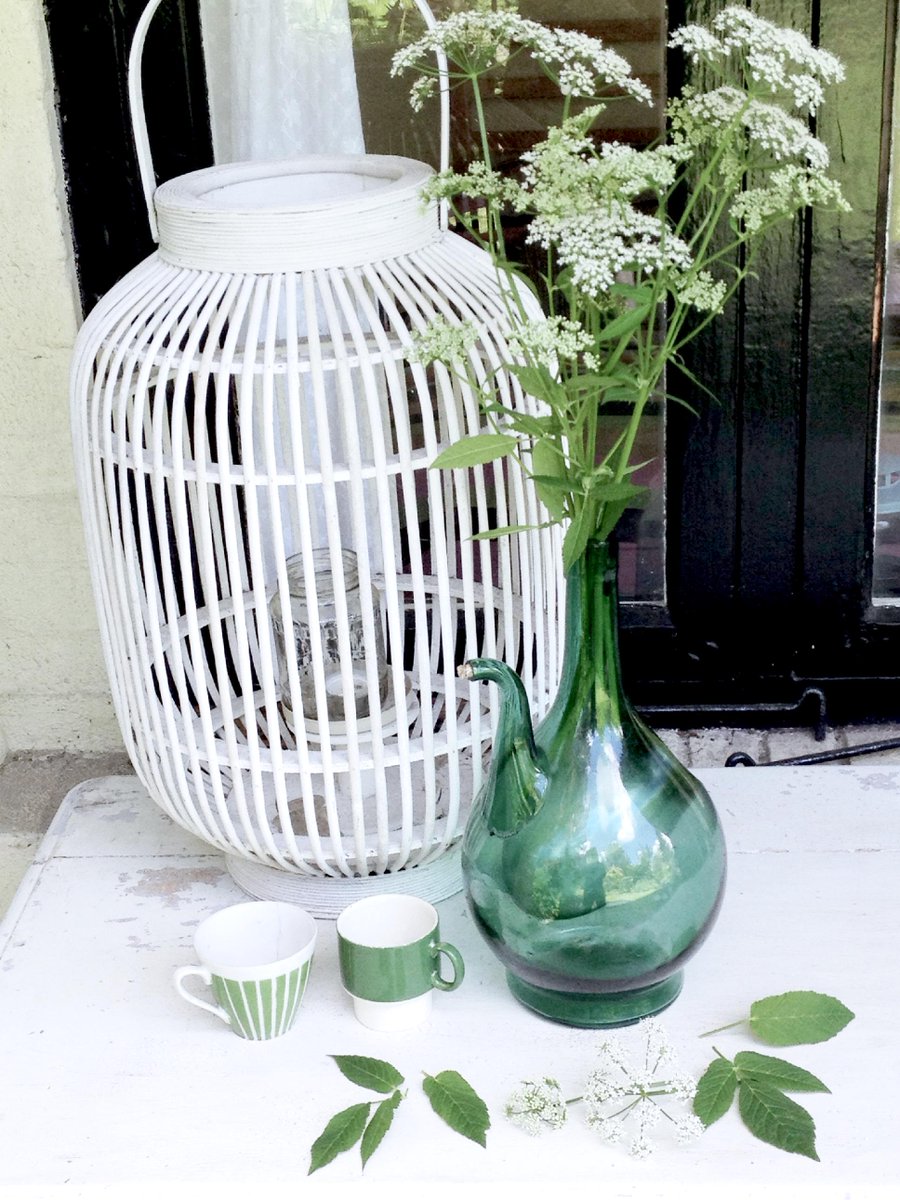 Kleur je tuin met: WIT!
volkstuinverhalen.nl/witte-tuin/