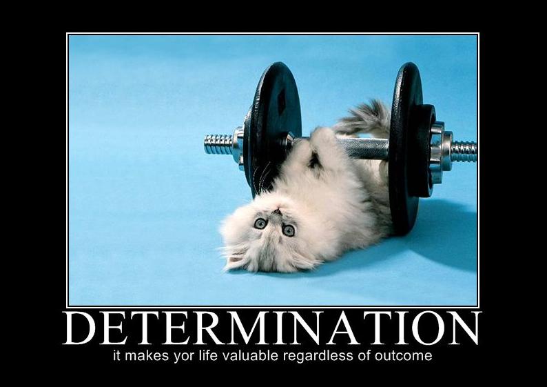 DryTimeInc's tweet photo. Make it a great week! #mondaymotivation http://t.co/VQiQCOI6GH http://t.co/NwH96dvBUN
