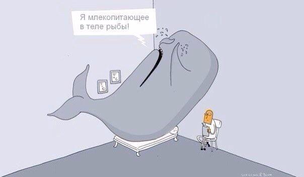 Arr_Kristi's tweet photo. Нас обходят😭😭😭 поставьте, пожалуйста 💙 всем четырем фото, и мы отправимся в Нью-Йорк😉

http://t.co/8XLBrvukA4 http://t.co/0nb3FE9CY2