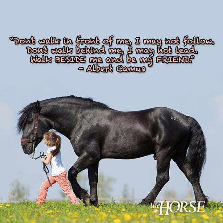 thehorse's tweet image. Fill in the blank: My horse is my best friend because _______. #NationalBestFriendsDay #horses