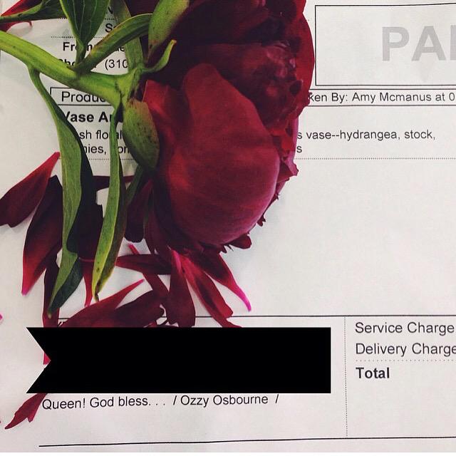 CrimsnClover's tweet photo. #rockstarflowers http://t.co/79AMDgn1WG
