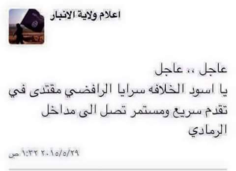Angel_Sadrain's tweet photo. انتصارت لسرايا السلام يشهد لها العدووو http://t.co/wLkDXIFzAa