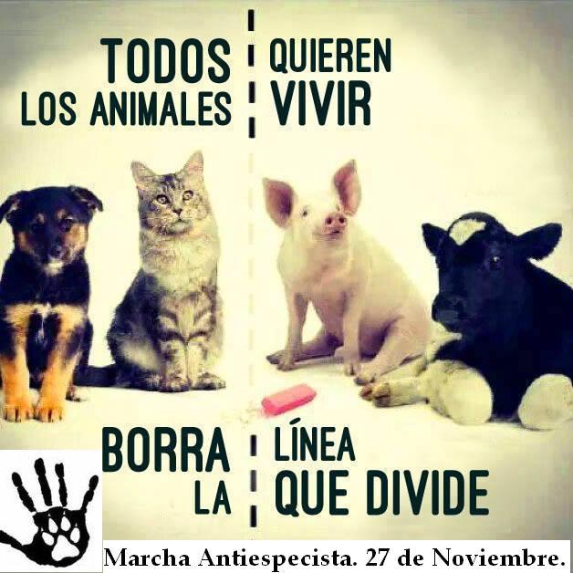 GiseBulla's tweet photo. Nos ayudas a difundir la marcha en contra de el maltrato animal?
https://t.co/trWNR3QHsM http://t.co/ISS9YXNoa0