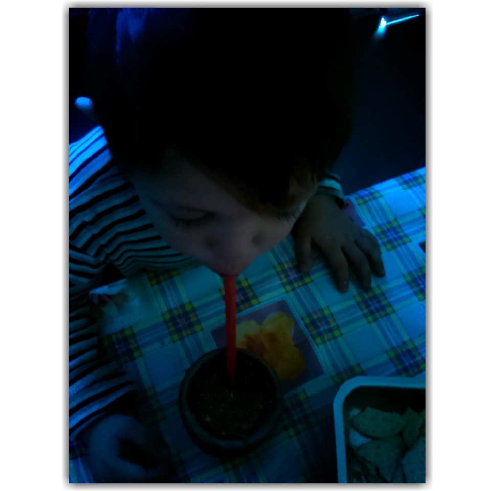 2012fridel tweet picture