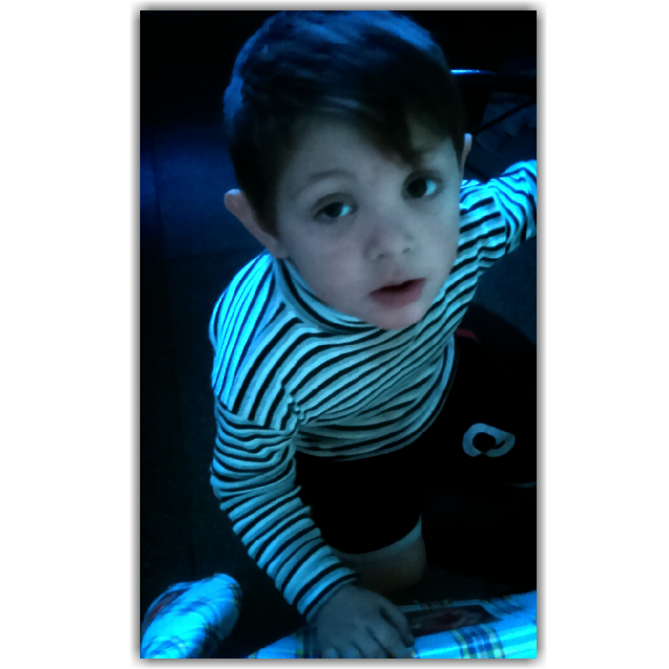 2012fridel tweet picture