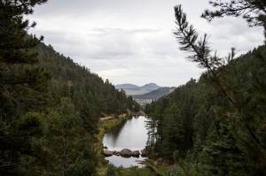 csgazette's tweet photo. #Repost

5 hiking trails near Colorado Springs where you can escape big crowds http://t.co/nSerpkwpau http://t.co/bc4Z4or47j