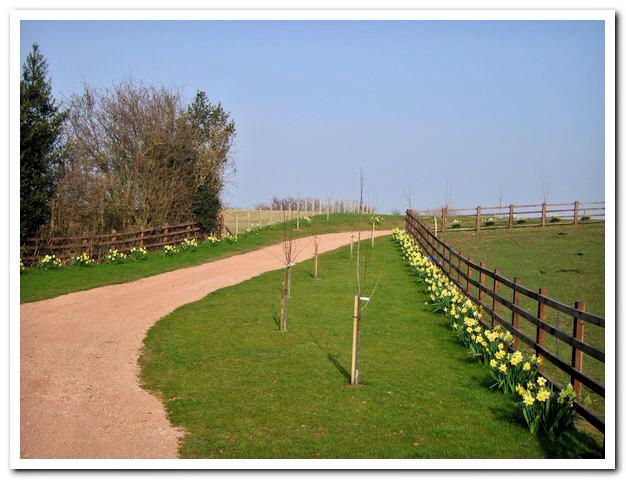 robinbebb's tweet image. Gallery