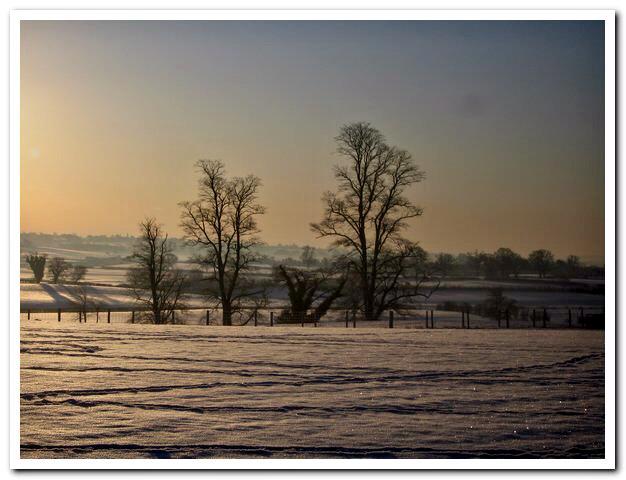 robinbebb's tweet image. Gallery