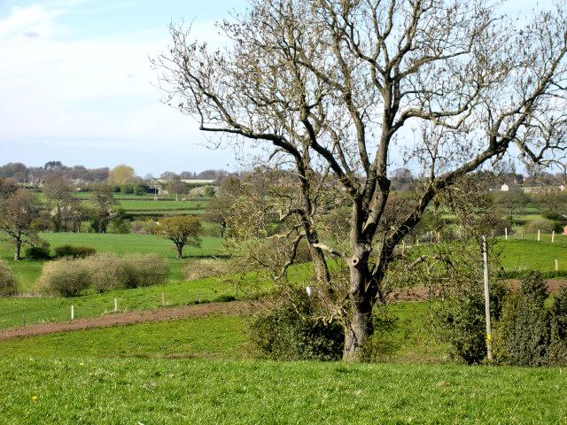 robinbebb's tweet image. Gallery