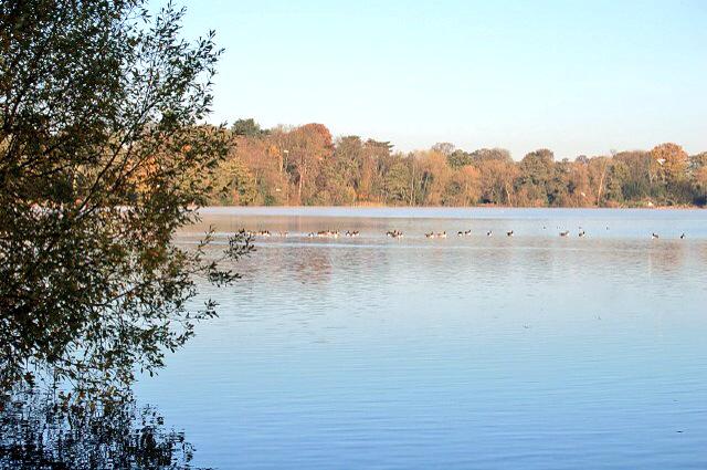 robinbebb's tweet image. Gallery