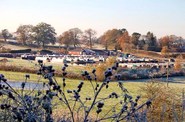 robinbebb's tweet image. Gallery