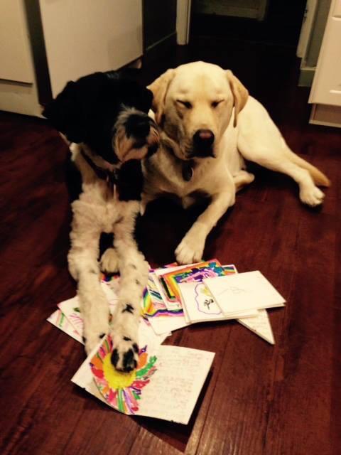 NorwesterReaders tweet media