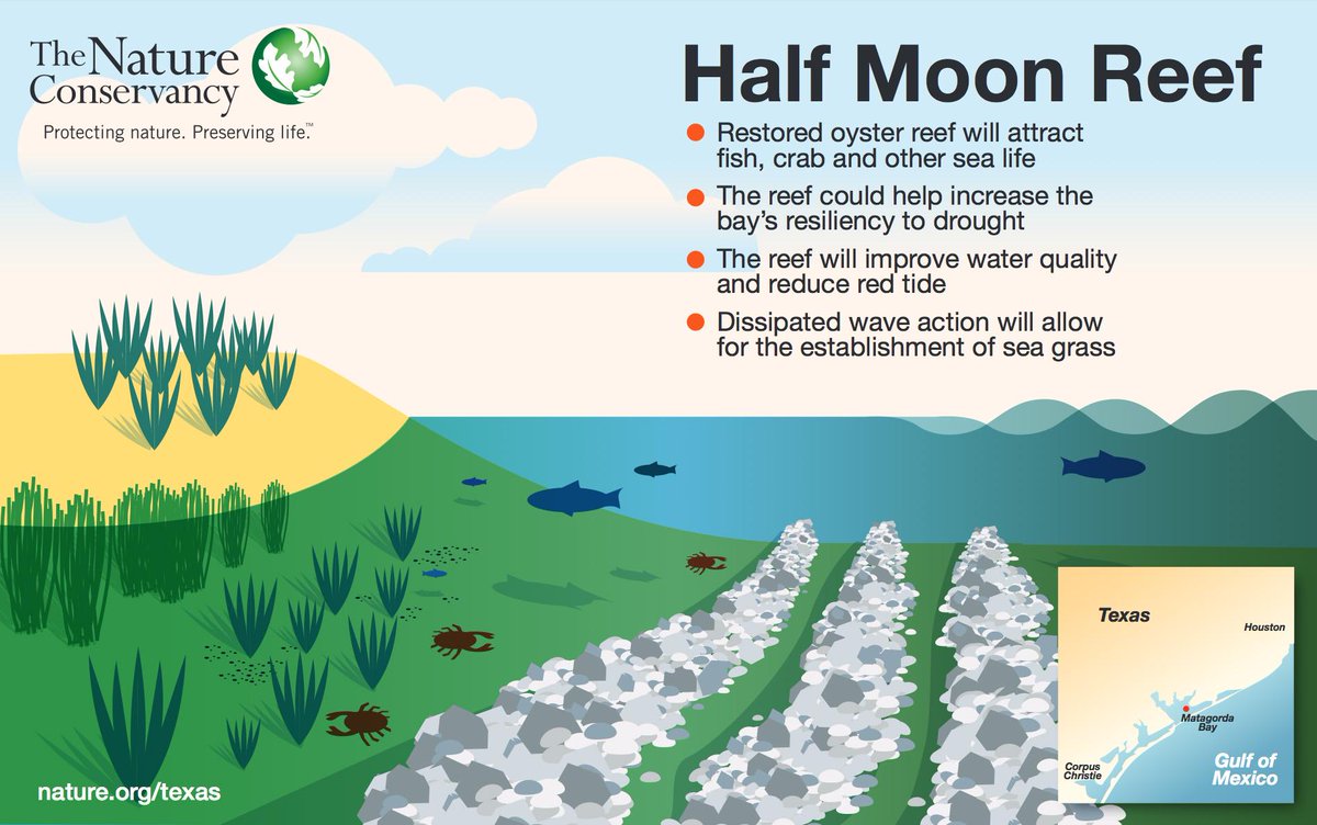 The Nature Conservancy tweet media