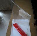 AcrylicMulya's tweet photo. menerima pesanan acrylic tempat brosur berbage bentuk/hp.085289309790/web http://t.co/eGanf5KiIY http://t.co/Y4W6AAzeJ2