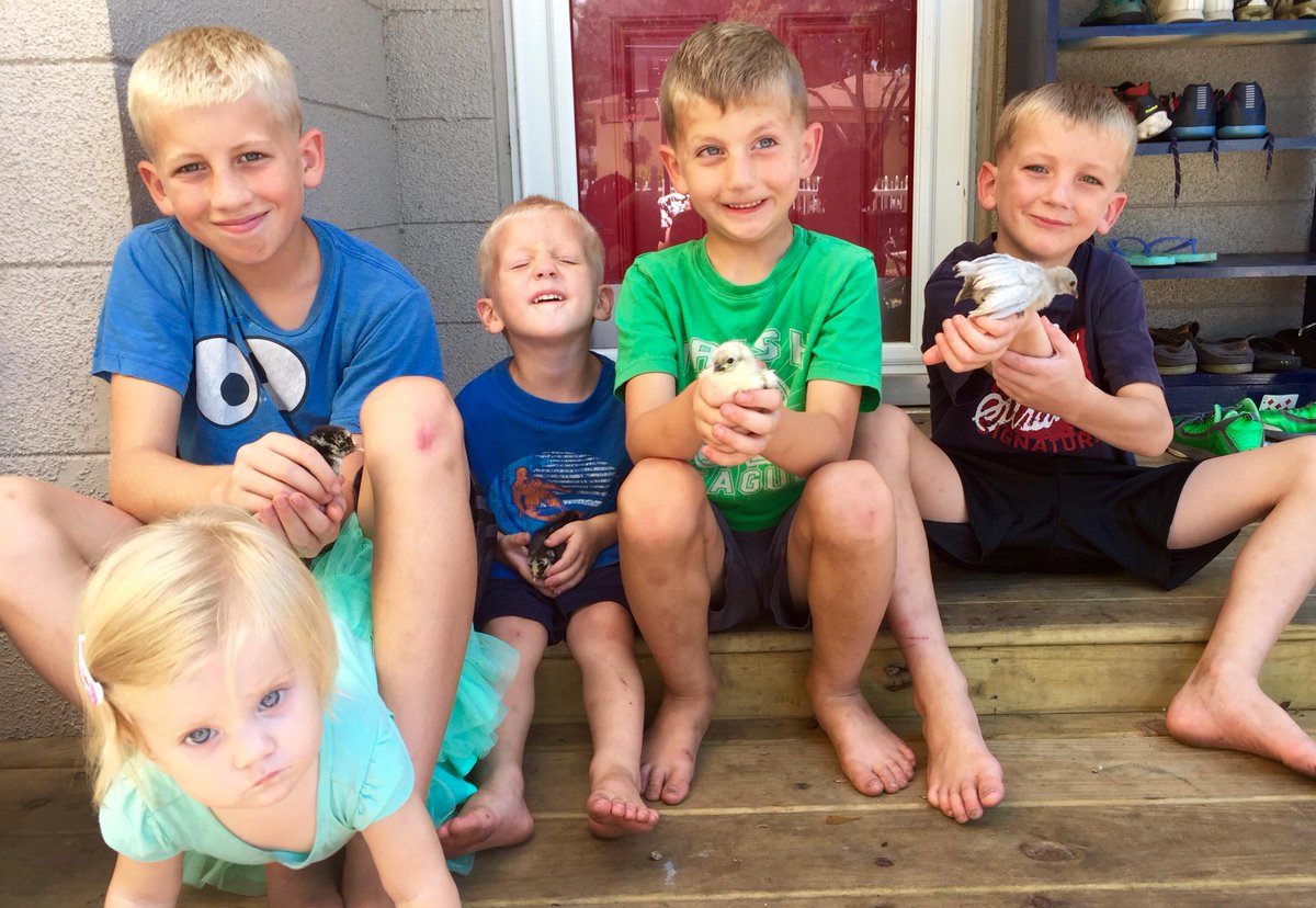 boyventures's tweet image. chicks and boys wp.me/p6doog-id via @boyventures #thetestosteroneadventures #urbanchickens