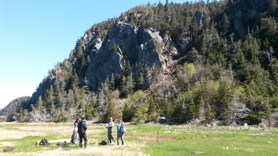 TCD_SeaLevel's tweet photo. Glorious day coring at Placentia, black flies aside... #CoreFest #BugBitten http://t.co/fDwrnZuLxU