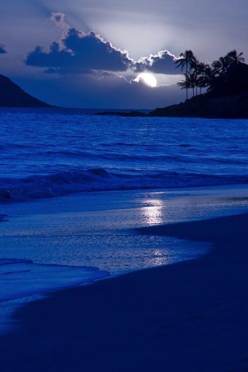 mishaasnature's tweet photo. http://t.co/xBk58FqjcO