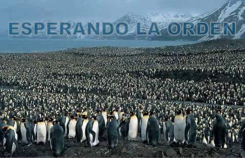 TRSMONO's tweet photo. @diegobranca mostrale esto a tus compa y q dejen trabajar a la gente. despues dicen adhesión 95%... caraduras! http://t.co/l9QypQ5axT