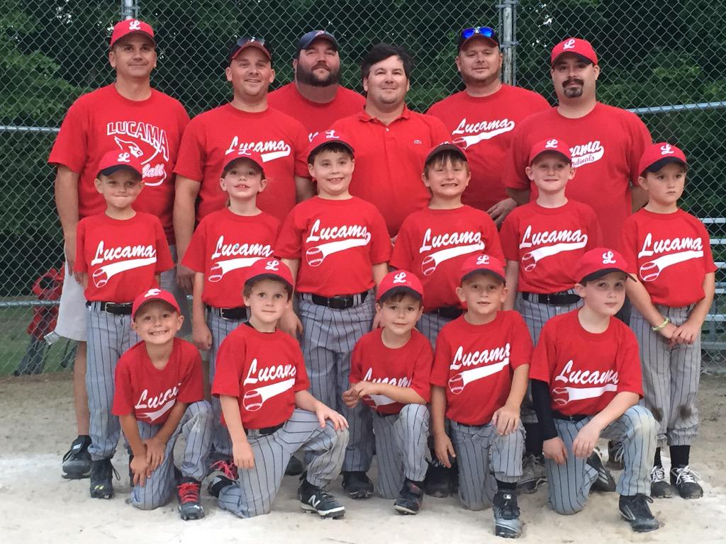 TheNookWilson's tweet photo. Love these little Cardinals! http://t.co/hGL4ug1Lh6