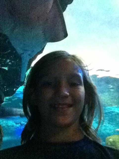monjohnvx's tweet photo. The saw fish surely saw us. @RipleysAquaCA #SharkSelfie http://t.co/hFeAK9pxCt