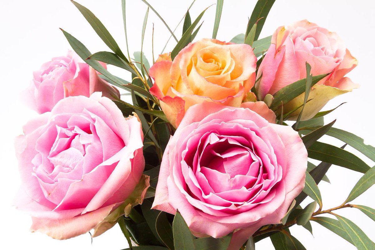 Lovehit On Twitter Good Morning To All The Amazing People N A