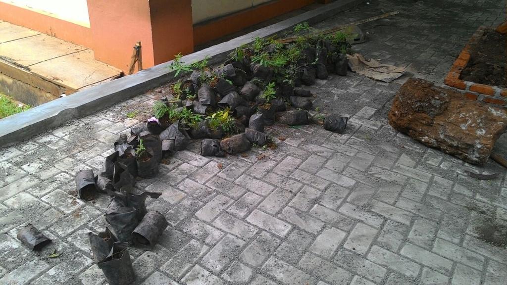 dipantara_adit's tweet photo. Korban arogansi rektorat, ubah taman jadi tempat parkir #uinjktgersang cc: @JJRizal @rahung @ulinyusron @sarasdewi http://t.co/RXwsLzZwkD