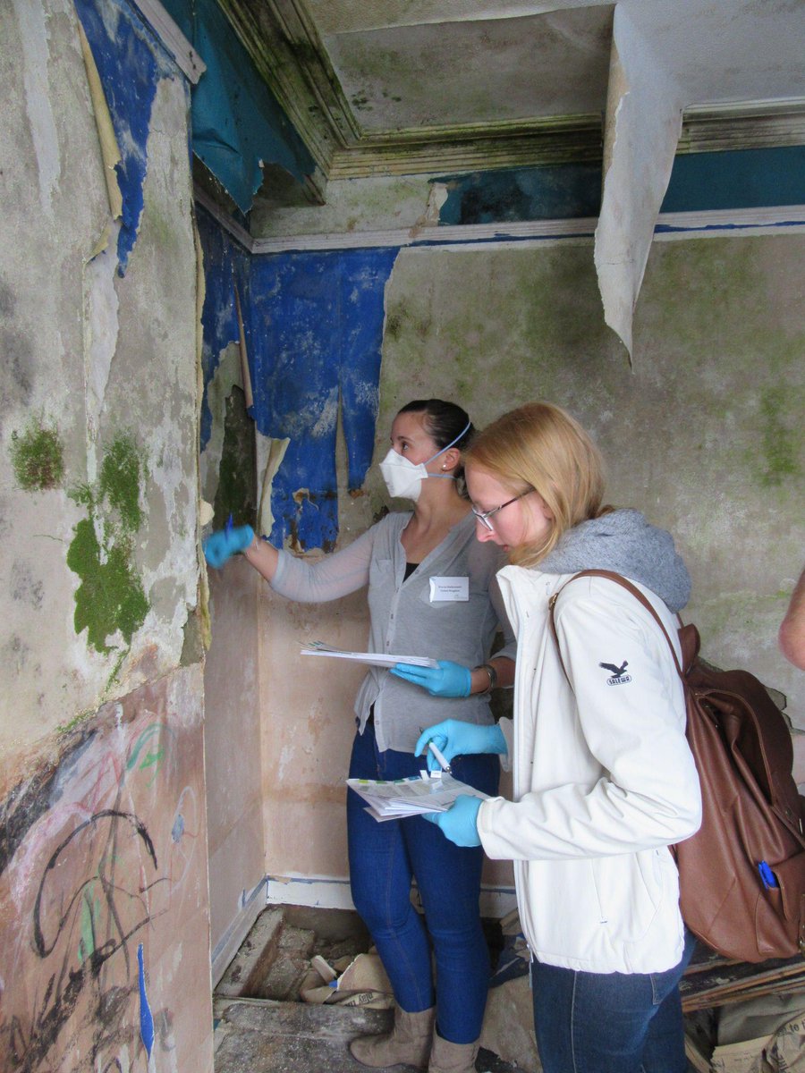 STBA_UK's tweet photo. RT @BCBangor: Students taking samples at a derelict house Pen Parc for the #FP1303 Mould Training workshop http://t.co/3wYshyCcDm