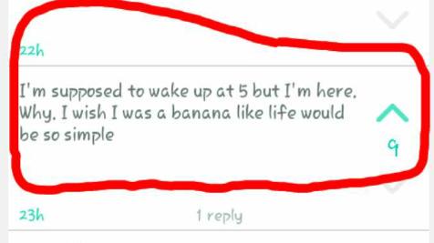 caths_sheldon's tweet image. Most accurate thing I've seen so far.