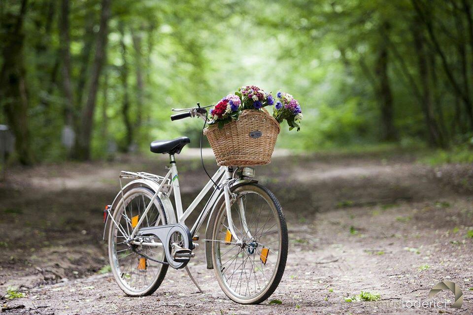 BasketsFabulous's tweet photo. Good morning!
A new summer day, a new smiling day:)
http://t.co/v20OYu9KMn http://t.co/RNcogKORw2