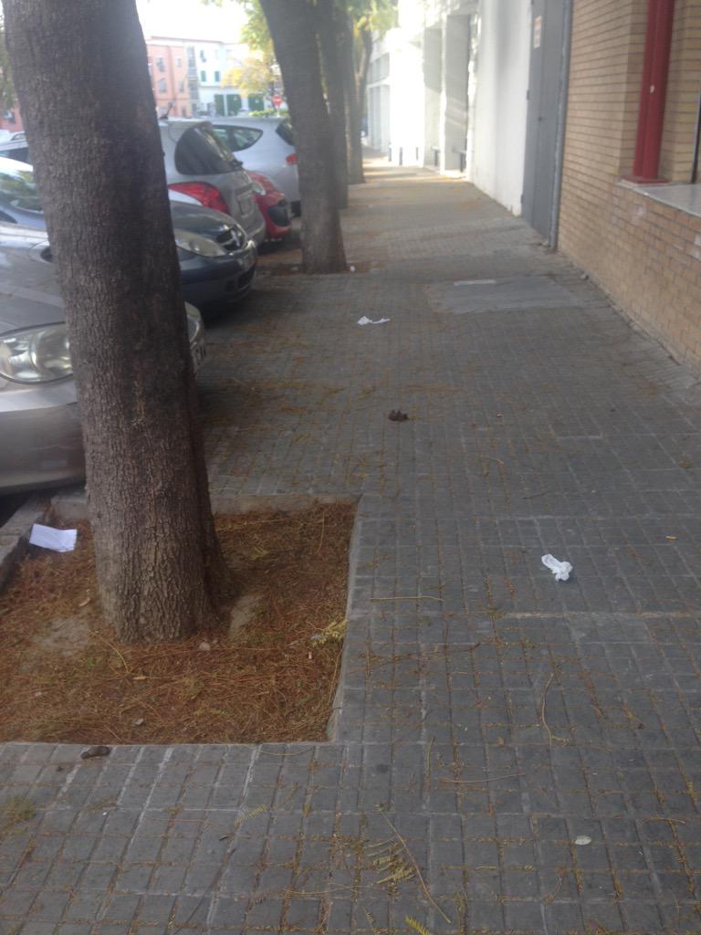 NandoSVQ's tweet photo. #haciendomihistoria las calles limpias... Huelen bien... #marcajerez http://t.co/5Ohh6MS6t2