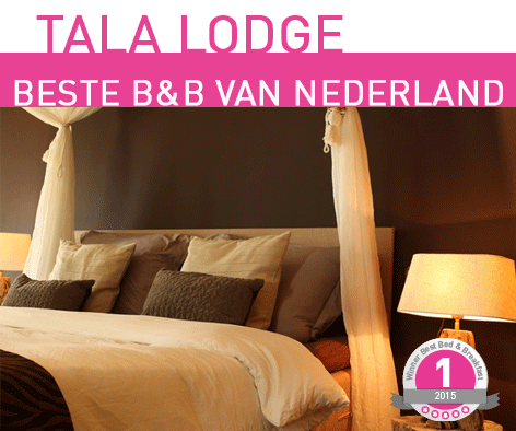 Bedandbreakfast.nl tweet media