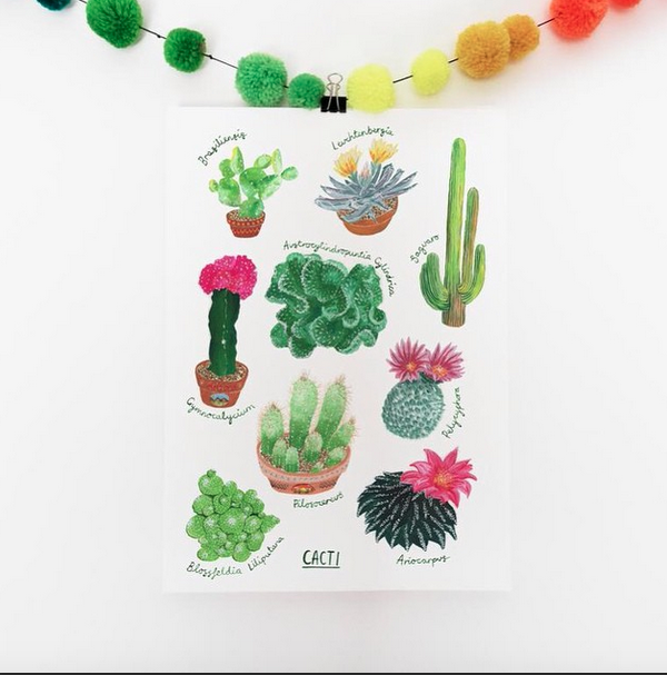 helloiamkathryn's tweet photo. Prickly cactus print from my ~other~ etsy shop; https://t.co/XjHbZXCL8d http://t.co/NcTjS2g0L0