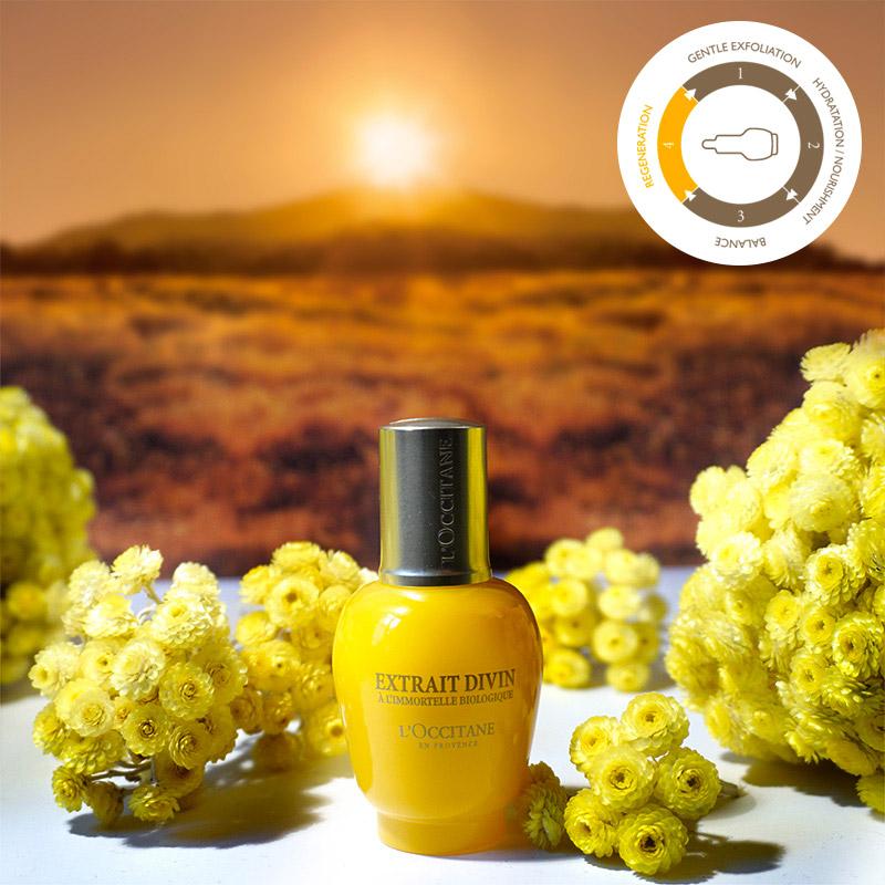 LOCCITANE_SA's tweet image. After your #renewalprogram,use the Divine Extract as a base layer for total skin regeneration: bit.ly/1HYjI1W