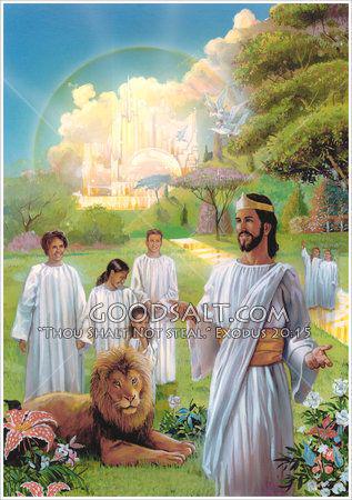 لويس غرم الله tweet media